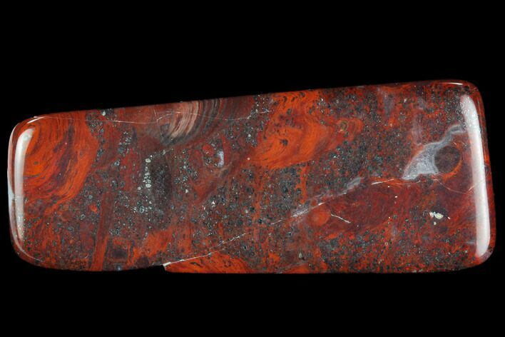 Polished Stromatolite (Collenia) - Minnesota #126088